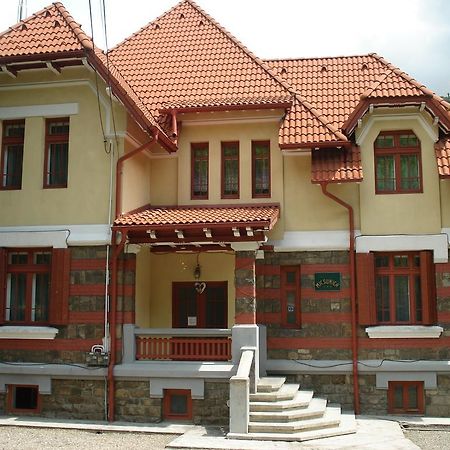 Pensiunea Micsunica Sinaia Buitenkant foto