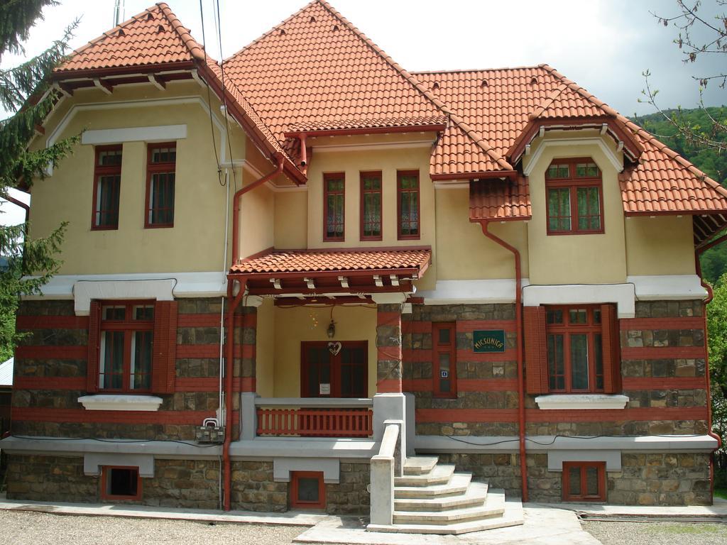 Pensiunea Micsunica Sinaia Buitenkant foto