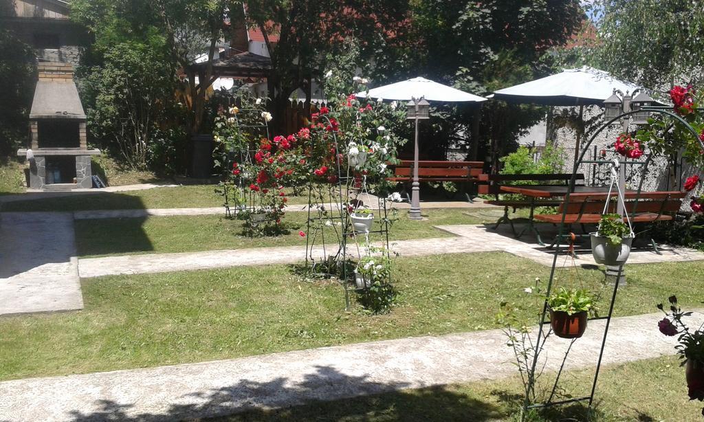 Pensiunea Micsunica Sinaia Buitenkant foto